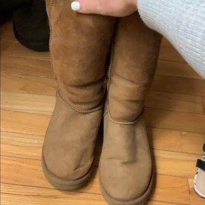 Tall Size 8 Chestnut Uggs